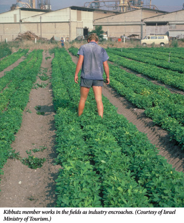 Shapira Kibbutz Article Image Shapira Kibbutz Article Image